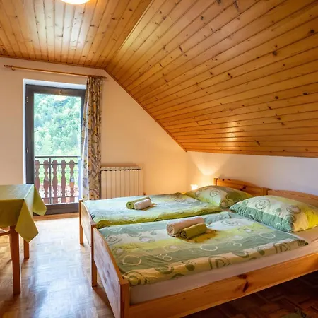 Apartments And Rooms Kravanja Trenta Exterior photo