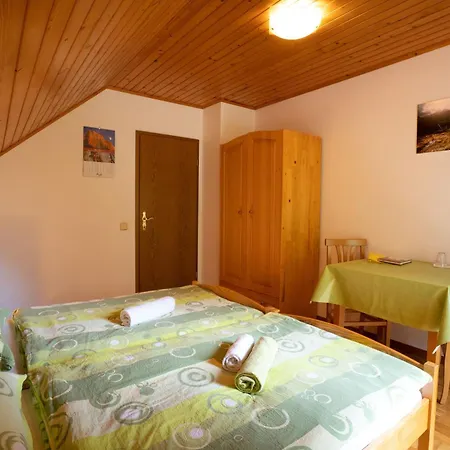 Apartments And Rooms Kravanja Trenta Room photo