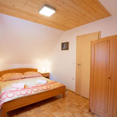 Apartments And Rooms Kravanja Trenta Room photo