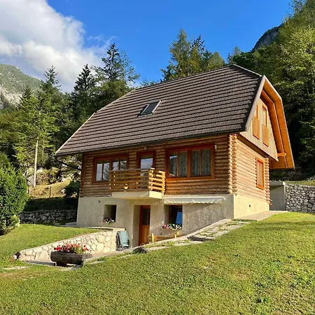 Apartments And Rooms Kravanja Trenta Exterior photo