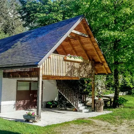Apartments And Rooms Kravanja Trenta Exterior photo