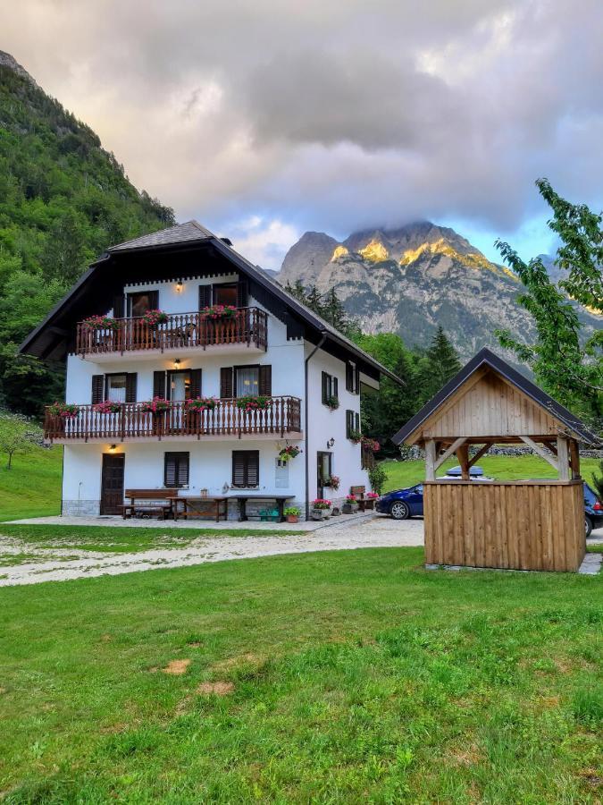 And Kravanja